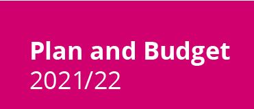 Plan and Budget report 21/22